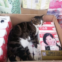 大德藥房