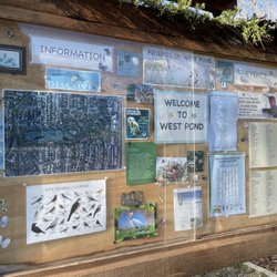 West Area Pond - Welcome to West Pond