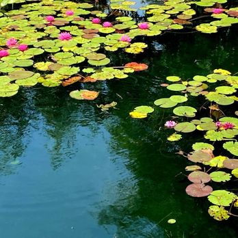 Greater Des Moines Botanical Garden - Botanical Gardens in Des Moines, Iowa - Botanical Gardens Near Me - Des Moines, Iowa Greater Des Moines Botanical Garden - Botanical Gardens in Des Moines, Iowa - Botanical Gardens Near Me - Des Moines, Iowa