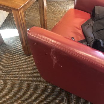 Panera Bread - This is just where I'm sitting. This place is gross. - Sandwiches Near Me - Fishkill, New York