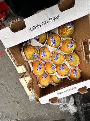 Patel Brothers by null