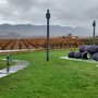 Photo of Bodega Vivanco