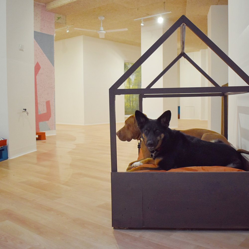 Dr. Francesco Maisano. Life story. Father's heart attack inspires path –  DiagnosticDetectives.Com, image size:1000x1000