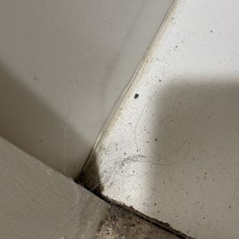 Maynard House - THE DIRTY DIRTY PART OF THE BATHROOM, just gross hair & filth!! ENLARGE IT!! - Community Service/Non-Profit Near Me - Hanover, New Hampshire Maynard House - THE DIRTY DIRTY PART OF THE BATHROOM, just gross hair & filth!! ENLARGE IT!! - Community Service/Non-Profit Near Me - Hanover, New Hampshire