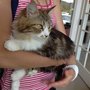 Photo of PAWS of Bainbridge Island and North Kitsap