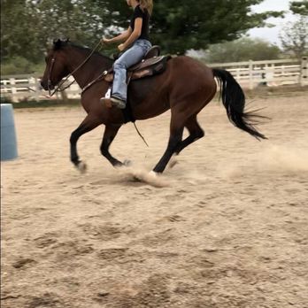 River Valley Ranch - Horseback Riding Near Me - Tucson, Arizona River Valley Ranch - Horseback Riding Near Me - Tucson, Arizona