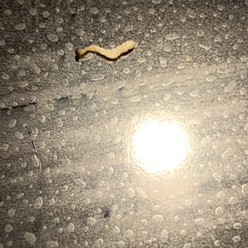 Osaka Japanese Express - a banana on a wet surface - Japanese Near Me - Spring Lake, North Carolina Osaka Japanese Express - a banana on a wet surface - Japanese Near Me - Spring Lake, North Carolina