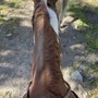 Photo of Mammoth Lakes Pack Outfit