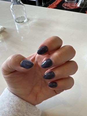 American Beauty by null