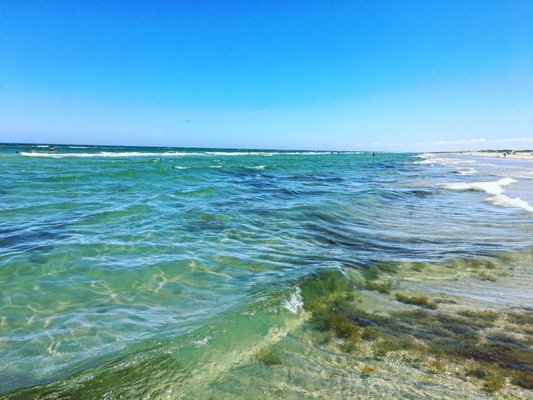 Padre Island National Seashore - Malaquite Visitor Center by null