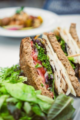 Glasshouse Kitchen by null