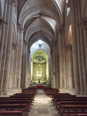 Catedral Vieja de Santa María de la Sede de Salamanca by null