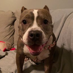 Happy after her trip to PetPeople