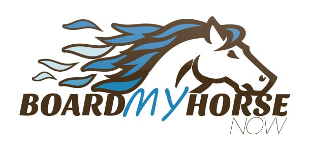 Board My Horse Now - equestrian in Clawson, MI