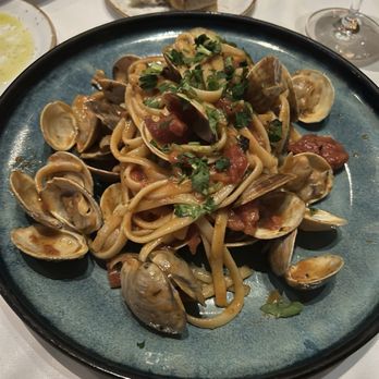 La Luce - Pasta Vongole - Italian Near Me - Orlando, Florida La Luce - Pasta Vongole - Italian Near Me - Orlando, Florida
