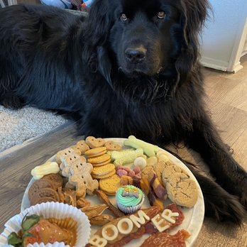 BeLoved Pet Sitting - Pet Sitting Near Me - San Diego, California