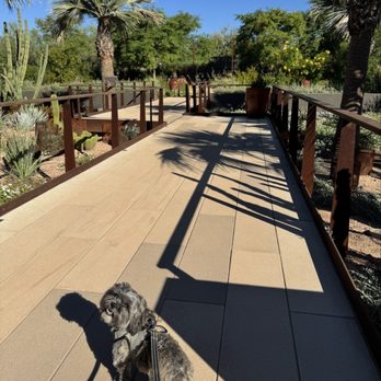 Desert Botanical Garden - Botanical Gardens Near Me - Phoenix, Arizona