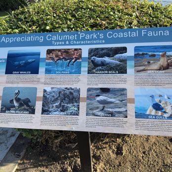 Calumet Park - Calumet Park's Coastal fauna infographic - Parks Near Me - San Diego, California