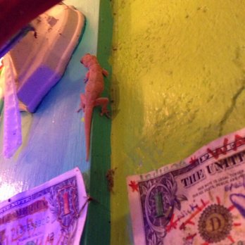 Cantina Captiva - A new friend joined us! - Mexican Near Me - Captiva, Florida
