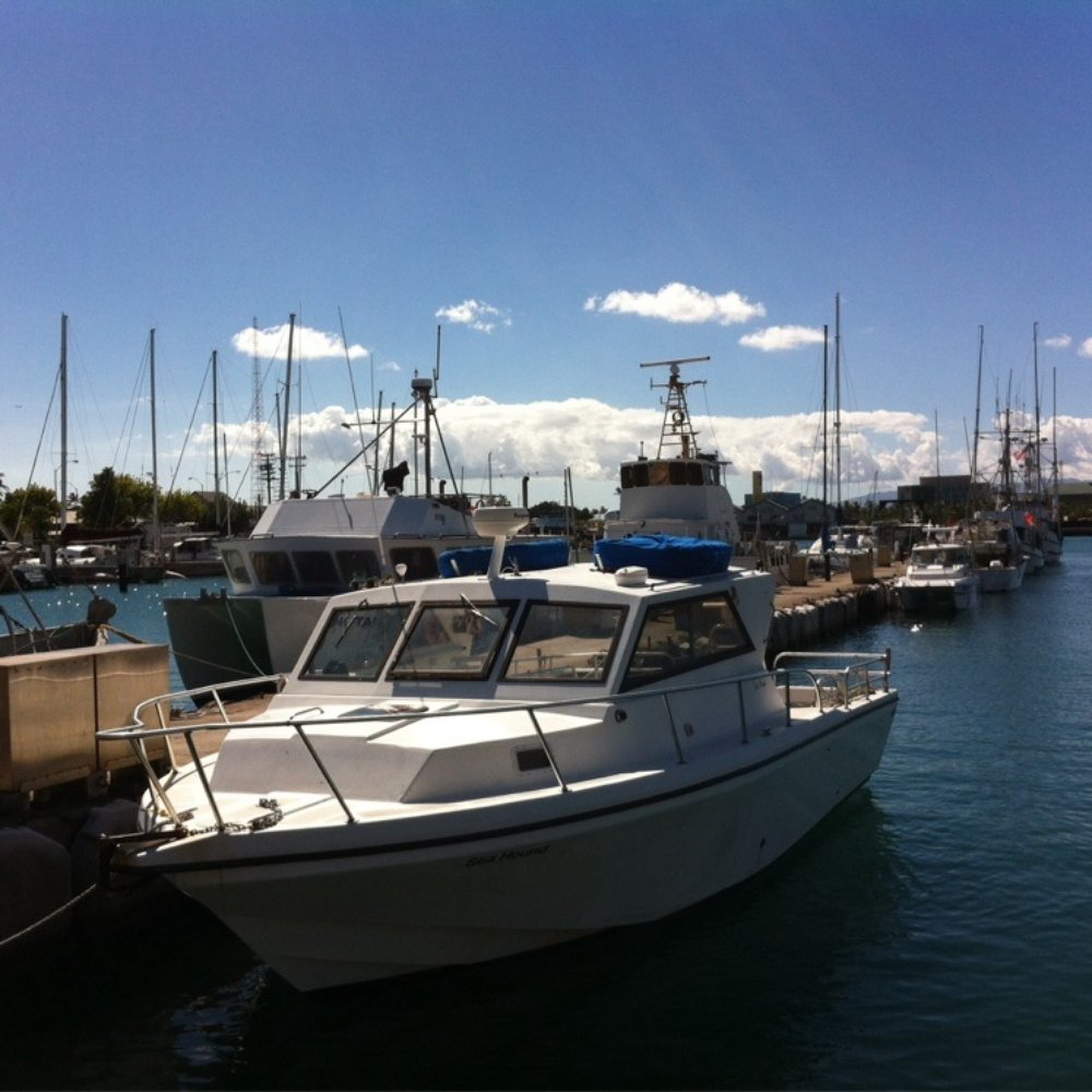 Kewalo Basin Harbor - Boat Charters Near Me - Honolulu, Hawaii Kewalo Basin Harbor - Boat Charters Near Me - Honolulu, Hawaii