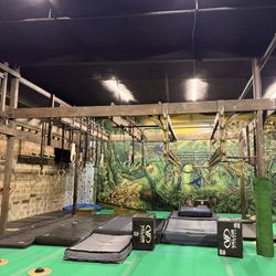 Jungle Gym