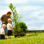 Photo of Anderson's Tree Care Specialists