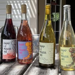 Pamplemousse Jus Natural Winery - Wine tasting