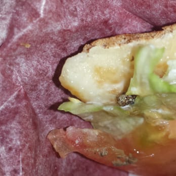 Carl's Jr - Burgers Near Me - San Diego, California