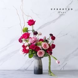 Uprooted Rose