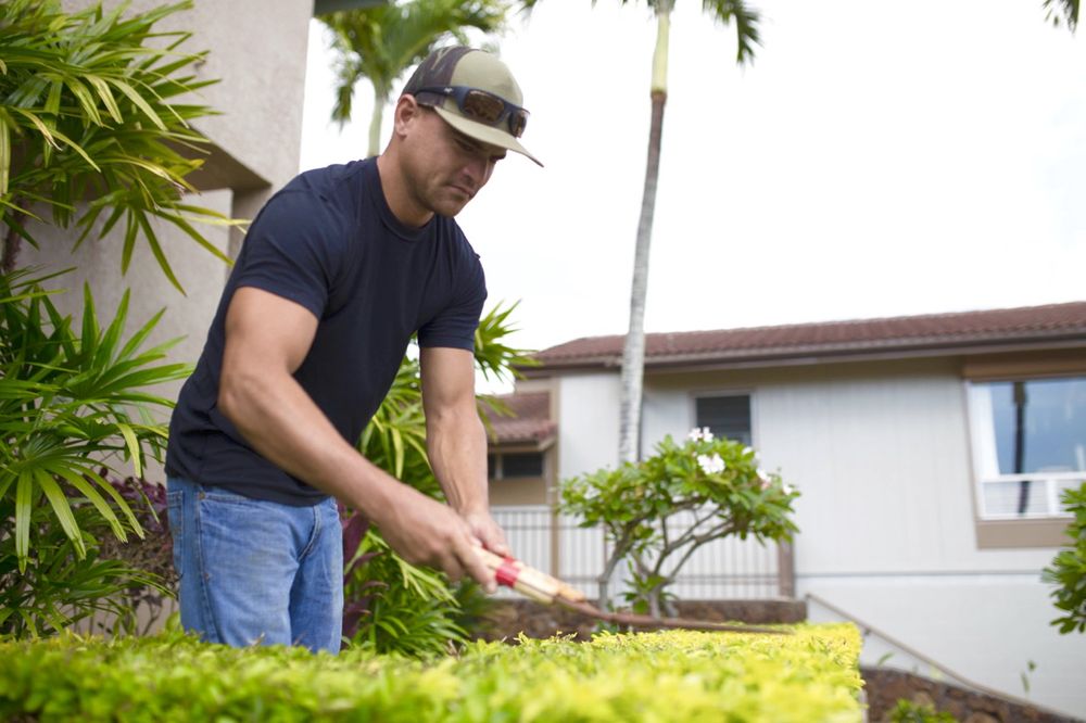 KAUAI COMPLETE YARD CARE Updated October 2024 25 Photos Koloa