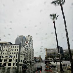 LONG BEACH POST - Little drizzle before the pouring rain here in Long Beach Downtown.