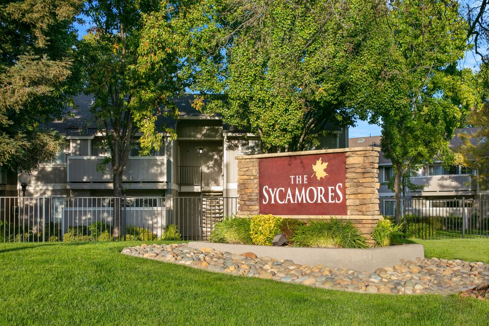 THE SYCAMORES APARTMENTS 31 Photos & 48 Reviews Apartments 901