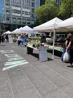 SOAR Farmers Market by null