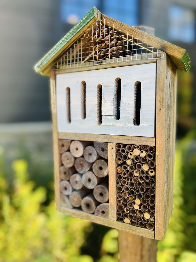 Brecksville Reservation