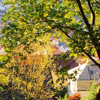 Fløibanen - Tours Near Me - Bergen, 12