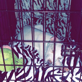 Montgomery County Animal Shelter - Animal Shelters Near Me - Conroe, Texas