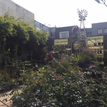 Clement Nursery - Nurseries & Gardening Near Me - San Francisco, California
