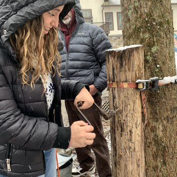 Teatown Lake Reservation - practicing drilling into a dead piece of wood - Hiking Near Me - Ossining, New York