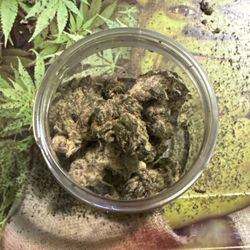 SLS Weed Dispensary DC - LEMON CHERRY PALOMA
