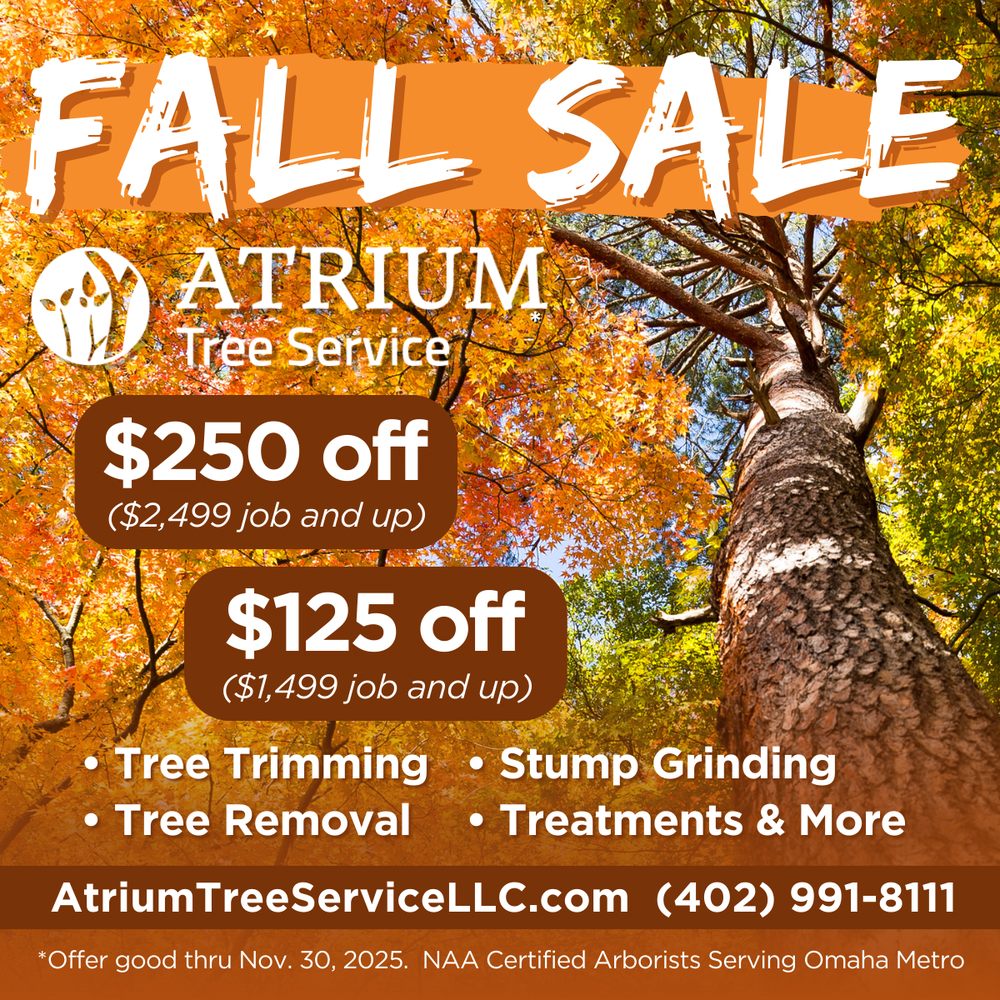 Atrium Tree Service - tree service in Bellevue, NE