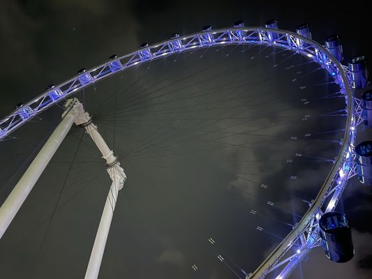 Singapore Flyer by null