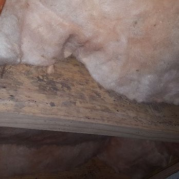 Carolina Crawlspace Pros - Waterproofing Near Me - Charlotte, North Carolina Carolina Crawlspace Pros - Waterproofing Near Me - Charlotte, North Carolina