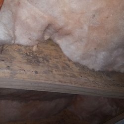Carolina Crawlspace Pros