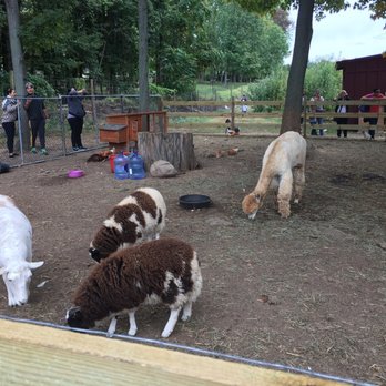 Demarest Farm - The petting zoo by the pumpkin patch. - Farmers Market Near Me - Hillsdale, New Jersey