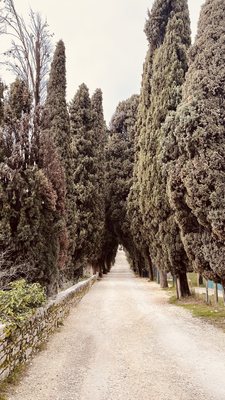 Locanda San Vigilio | Reopening in Spring 2026 by null