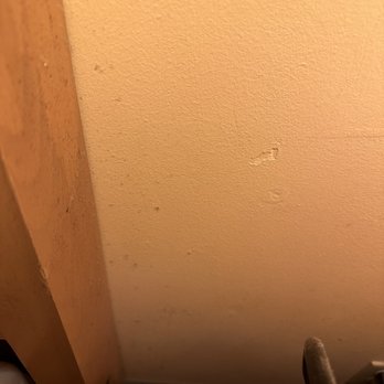Hampton Inn Key Largo, FL - Mold? - Hotels Near Me - Key Largo, Florida