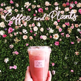 Coffee and Plants - Coffee & Tea Near Me - Pasadena, California