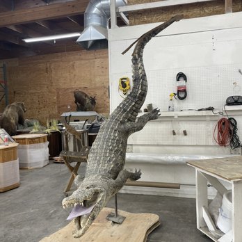 Animal Artistry - Taxidermy Near Me - Reno, Nevada