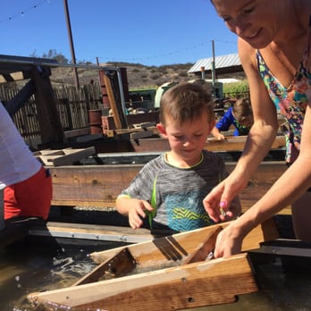 Peltzer Pumpkin Farm - Panning for gold. :) - Pumpkin Patches Near Me - Temecula, California