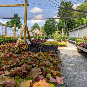 Groovy Plants Ranch - Nurseries & Gardening Near Me - Marengo, Ohio